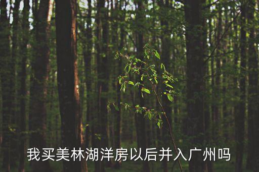 廣州美林湖封盤了，我買美林湖洋房以后并入廣州嗎