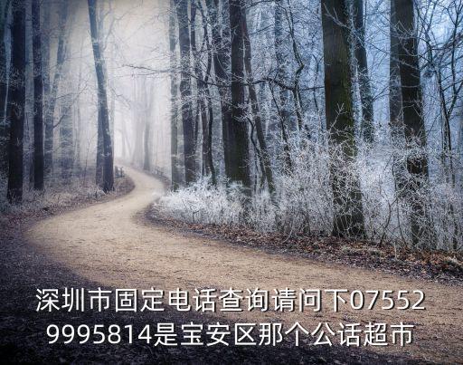 深圳市固定電話查詢請(qǐng)問下075529995814是寶安區(qū)那個(gè)公話超市