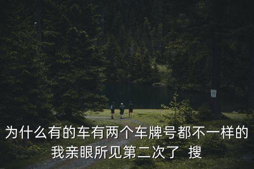 為什么有的車有兩個車牌號都不一樣的我親眼所見第二次了  搜