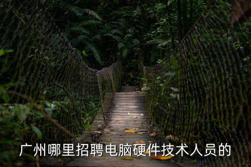 廣州哪里招聘電腦硬件技術(shù)人員的
