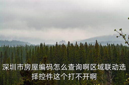深圳市房屋編碼怎么查詢啊區(qū)域聯(lián)動(dòng)選擇控件這個(gè)打不開啊