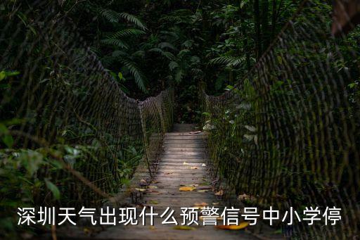 深圳預警情況，深圳天氣出現什么預警信號中小學停
