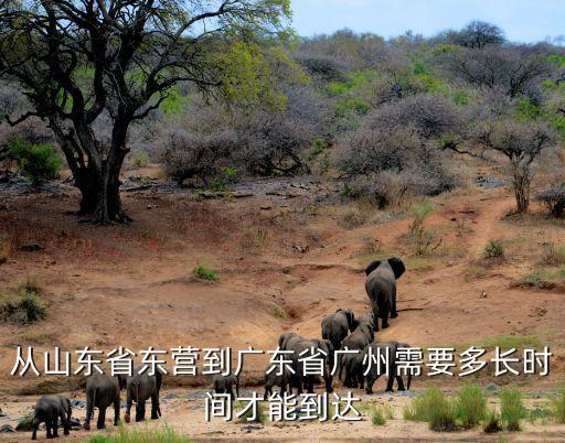 東營離廣州多少公里，從廣州到東營有多遠怎么去謝謝了大神幫忙啊