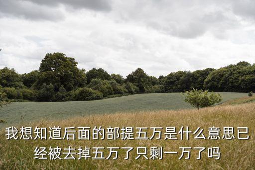 我想知道后面的部提五萬是什么意思已經(jīng)被去掉五萬了只剩一萬了嗎