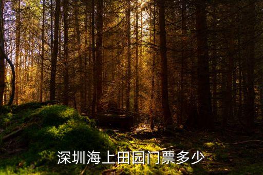 深圳海上田園門票多少