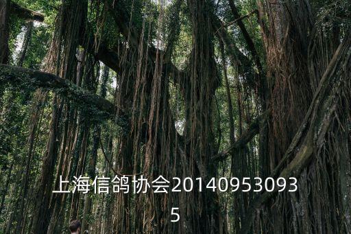上海市信鴿協(xié)會(huì)接待日，上海嘉定信鴿協(xié)會(huì)在那