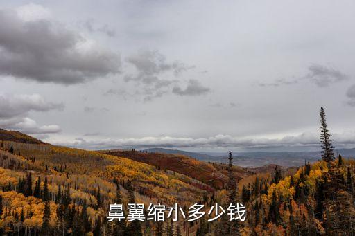 鼻翼縮小多少錢