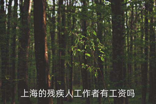 一八年上海市殘疾人工資，上海的殘疾人工作者有工資嗎