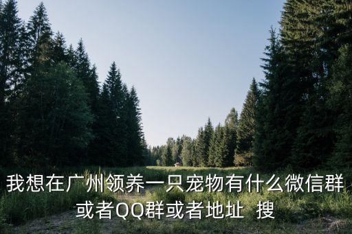 我想在廣州領養一只寵物有什么微信群或者QQ群或者地址  搜