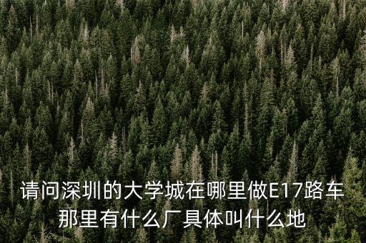 請問深圳的大學城在哪里做E17路車那里有什么廠具體叫什么地