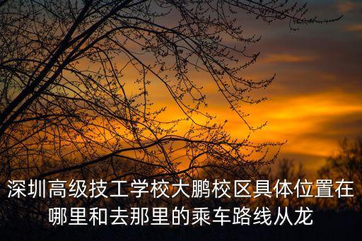深圳高級技工學校大鵬校區具體位置在哪里和去那里的乘車路線從龍