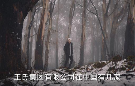 上海市王氏集團有限公司，天氣涼了就讓王氏集團倒閉吧