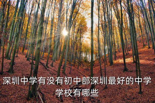 深圳中學有沒有初中部深圳最好的中學學校有哪些