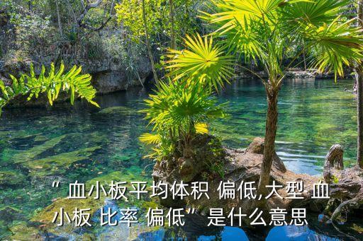 大血小板比率偏低