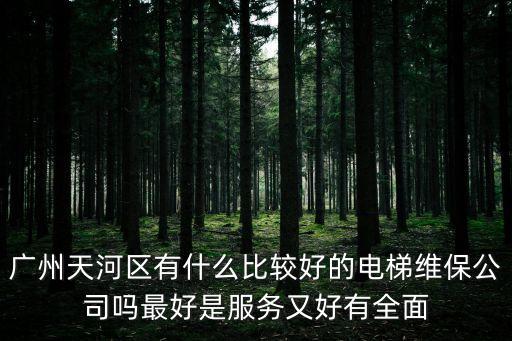 廣州天河區(qū)有什么比較好的電梯維保公司嗎最好是服務(wù)又好有全面