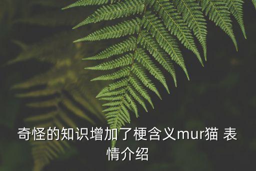 奇怪的知識增加了梗含義mur貓 表情介紹