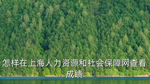 怎樣在上海人力資源和社會(huì)保障網(wǎng)查看成績(jī)