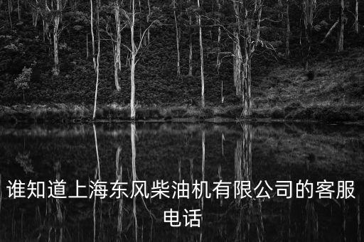 誰知道上海東風(fēng)柴油機有限公司的客服電話