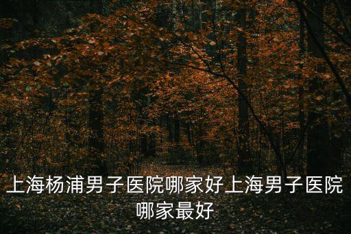 上海市楊浦區(qū)文化局怎么樣，上海楊浦區(qū)怎么樣算是比較繁華的地方嗎