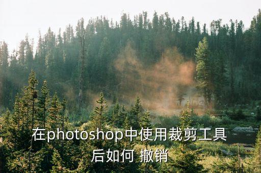 ps怎么撤銷(xiāo)操作,怎么撤銷(xiāo)撤銷(xiāo)操作錯(cuò)誤步驟?