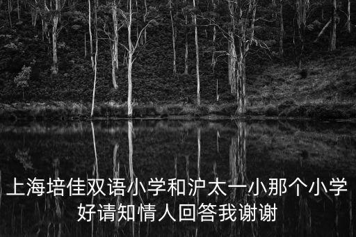 上海培佳雙語小學和滬太一小那個小學好請知情人回答我謝謝