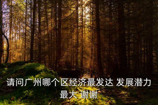 廣州 有前景的區域，廣州未來核心區域是那里