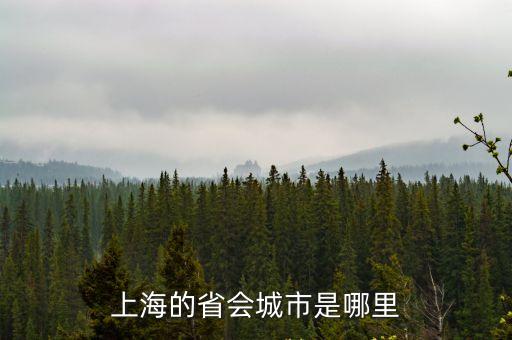 上海的省會城市是哪里