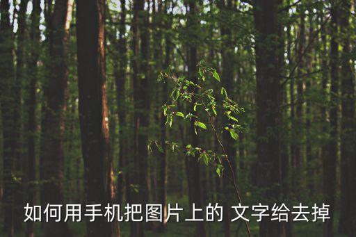 圖片怎么去文字,怎么把圖片上的文字去掉?辦法!