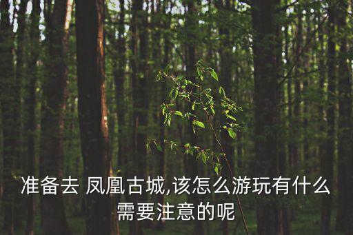 準備去 鳳凰古城,該怎么游玩有什么需要注意的呢