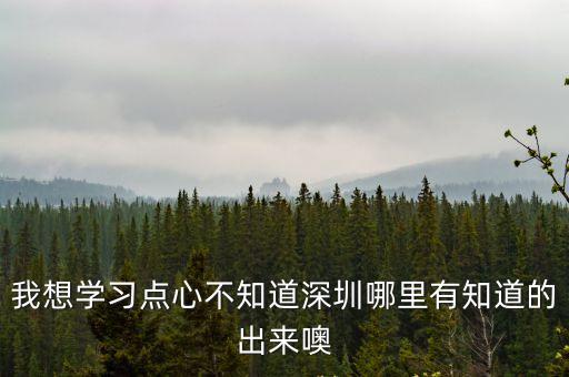 我想學(xué)習(xí)點(diǎn)心不知道深圳哪里有知道的出來噢