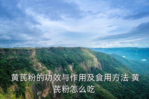 黃芪怎么吃,黃芪粉怎么吃?看這里!