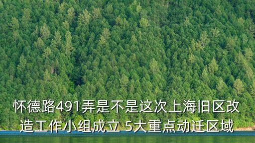 上海市舊區改造辦公室領導小組，懷德路491弄是不是這次上海舊區改造工作小組成立 5大重點動遷區域
