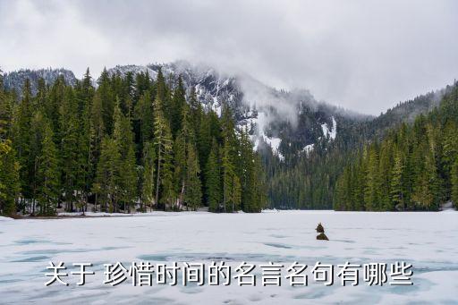 珍惜時間的,珍惜時間的名言:做好計劃把握每一分鐘