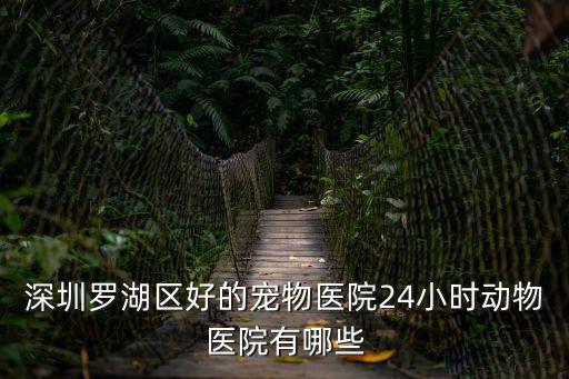 深圳羅湖區(qū)好的寵物醫(yī)院24小時(shí)動物醫(yī)院有哪些