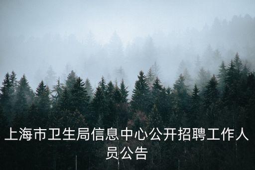 上海市衛生局信息中心公開招聘工作人員公告