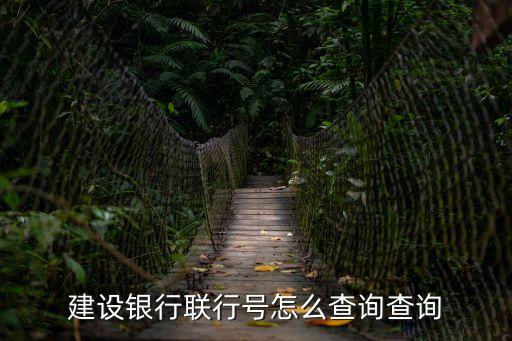 建設銀行聯行號怎么查詢查詢