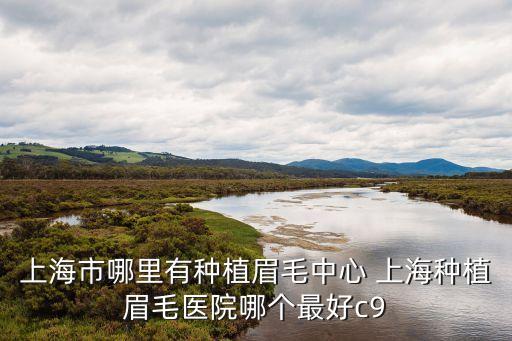 上海市病理學專科委員會，譚永東是誰啊