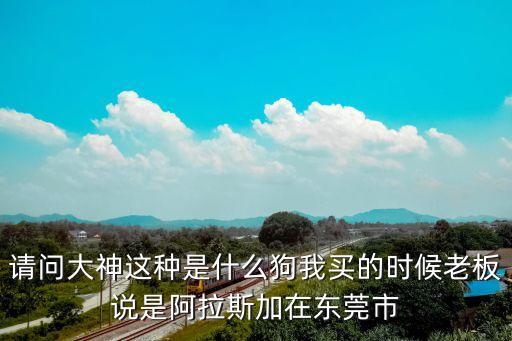 東莞國貿的超級物種，在東莞市國貿超級市場有限公司買的電磁爐要拿去修要什么證明