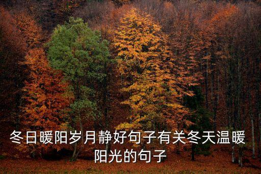 冬日暖陽歲月靜好句子有關冬天溫暖 陽光的句子