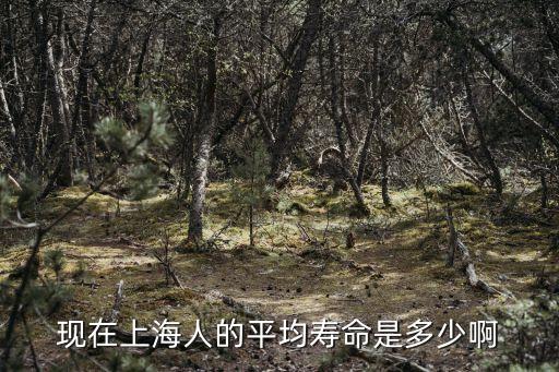 2018上海市人均壽命，上海市平均長壽年齡