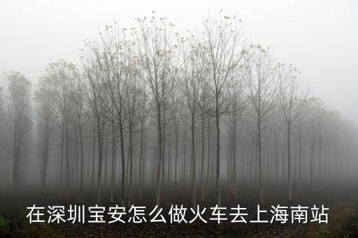 在深圳寶安怎么做火車去上海南站