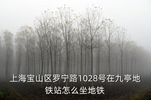 上海寶山區羅寧路1028號在九亭地鐵站怎么坐地鐵
