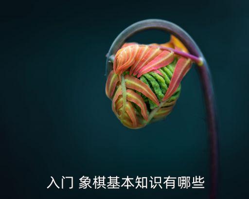 象棋入門
