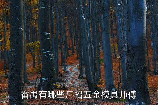 廣州模具師傅招聘信息，在廣州石井哪里招模具師傅