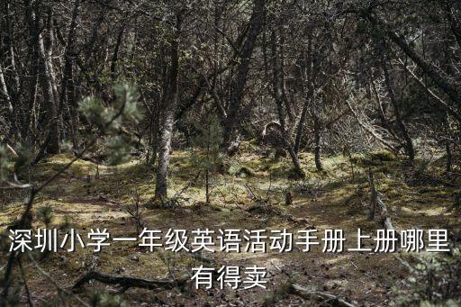 深圳小學一年級英語活動手冊上冊哪里有得賣