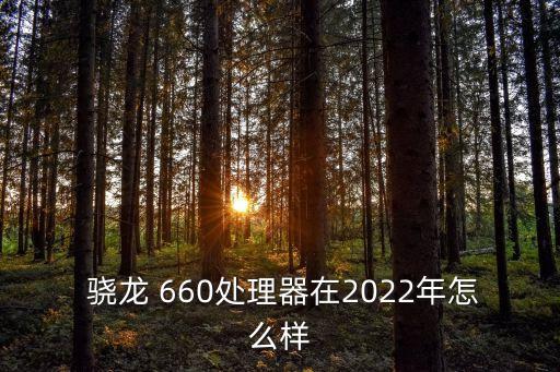 驍龍660