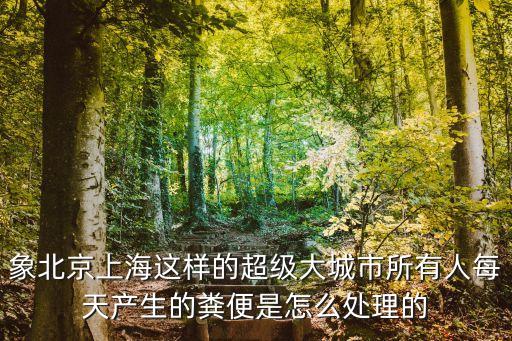 象北京上海這樣的超級大城市所有人每天產生的糞便是怎么處理的