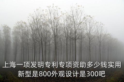 上海市奉賢區(qū)專利資助，上海一項(xiàng)發(fā)明專利專項(xiàng)資助多少錢實(shí)用新型是800外觀設(shè)計(jì)是300吧