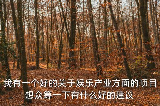 上海市社科聯智庫建設，我有一個好的關于娛樂產業方面的項目想眾籌一下有什么好的建議