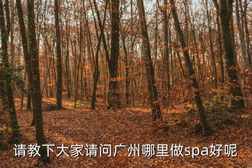 廣州情懷養生spa，廣州哪家SPA養生館服務好
